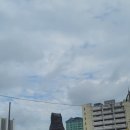 바를 正(정)행정사 사무소 | 말레이시아 조호루바루에서 한달살기,, 아니 3일살기