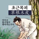 ◆한국에 상륙한 파우스트(Faust) 이미지