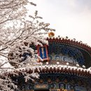 인플러스(In PLUS) 이미지