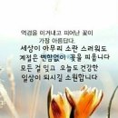 1월 어린이 기도력 모아읽기 - 자연의 실물교훈 이미지