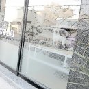 박여진애견미용실 이미지