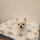 보미미용실 이미지