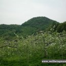 용천농장 이미지