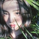 더바람