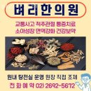 양천구 신정동 한의원 벼리한의원 진료시간 접근성 이용후기