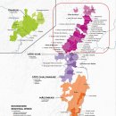 황금의 언덕 부르고뉴 와인 이미지