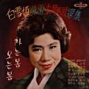 미도파 티스토리