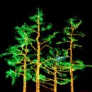 청송읍사무소 이미지