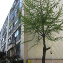 범안로7번길 이미지