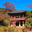 전등사 | 강화도 단풍명소 전등사 늦은 가을여행 후기