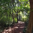 핸즈 인 제주 이미지