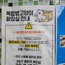 연극 <옥탑방 고양이> | 대학로 연극 옥탑방 고양이 혜화 데이트 코스 추천 주말 관람 후기