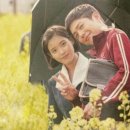 제주문화방송 주식회사 | &#34;폭싹 속았수다&#34; 종영 후 심층 분석: 폭싹 울고 웃었던 우리의 이야기, 그 감동과 아쉬움