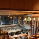 도시고양이생존연구소 이미지