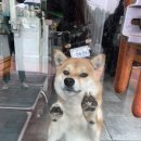 야미마라탕 이미지