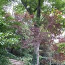 천마여행 이미지