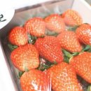 보영농장 이미지