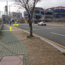 웅천초등학교(건너) 이미지