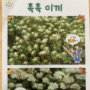(주)펌앤팝