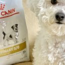 도래동물병원 이미지