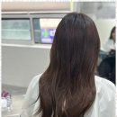 머리에반하다 이미지