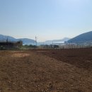 율포농장 이미지