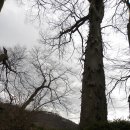 천반산길 이미지