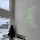 알레그라 | 제주 애월 풀빌라 숙소 [알레그라 제주] 가든 스테이 내돈내산 후기