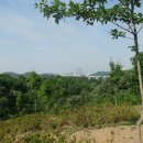 샛말산60사루지49은데미산49깃대봉(65m△서울452)달님산81깃대봉[2]100작동산101와롱산100깃대봉[3]65불근산68/경기부천 이미지