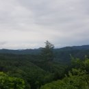 야시끼리
