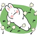 햇살좋은빨래방 이미지