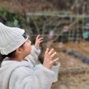 돌트미스테이 이미지