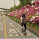 바이크버디 네이버블로그