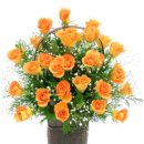 동현학교 이미지