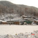 신안농장 이미지