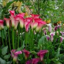 신지초등학교 이미지