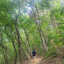 머내과학 공원 이미지