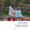 하도 가을이네 민박 | 제주도 동쪽 가성비 숙소 독채 펜션 하도언니네 민박