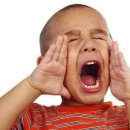 사계절꽃게 이미지