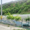 영천열매마농장 이미지