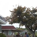 대명민박 이미지