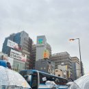 대길민박 | [오사카] 여행한그릇 교토 당일치기 투어 후기/비추인듯 추천/가격/코스/시간
