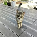 스테이 감도 이미지