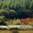 그린목장 이미지