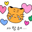 제천종합동물병원 이미지