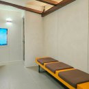 펜톤나인 이미지