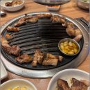 팔팔장어 이미지