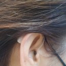 굿모닝보청기 태릉입구점 이미지