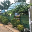 정왕어린이도서관.정왕시장 이미지