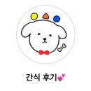 견공상회 이미지